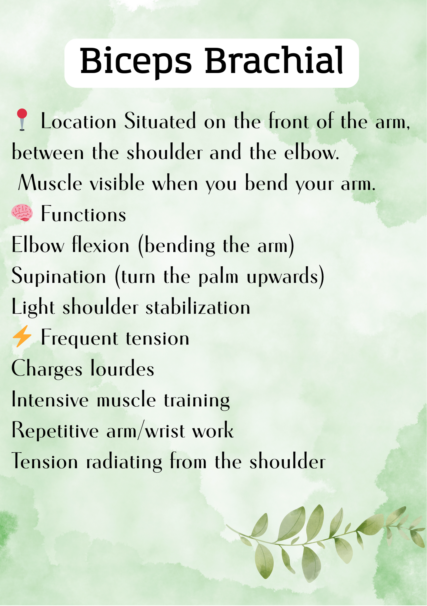 e book best massage techniques